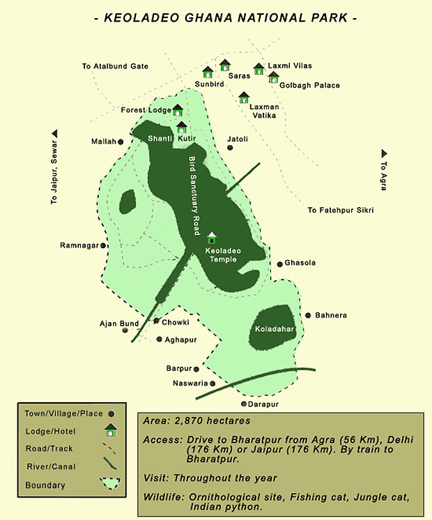 Keoladeo Ghana National Park, India live your passion...